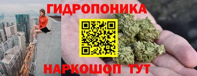 тгк Шебекино