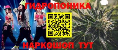 Альфа ПВП Ярославль