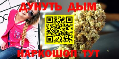 тгк Шебекино