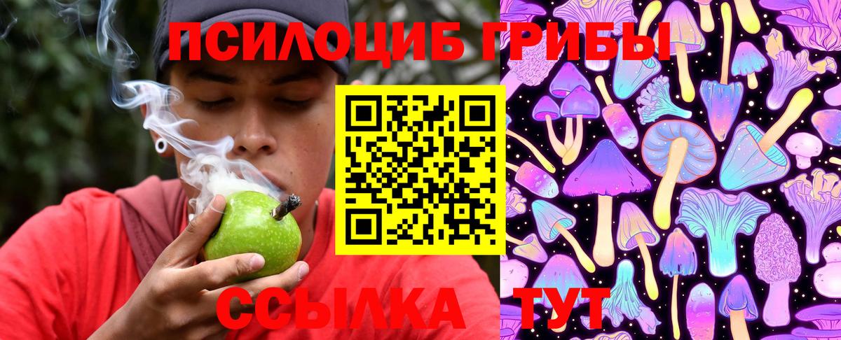 Белорецк  Псилоцибиновые грибы прущие грибы  Вход с VPN 